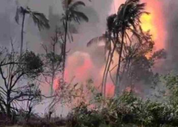 വെടിക്കെട്ടപകടം: ഫോറൻസിക് പരിശോധന നടത്തും; ഭൗതികാവശിഷ്ടങ്ങൾ തിരിച്ചറിയൽ വെല്ലുവിളിയെന്ന് മന്ത്രി