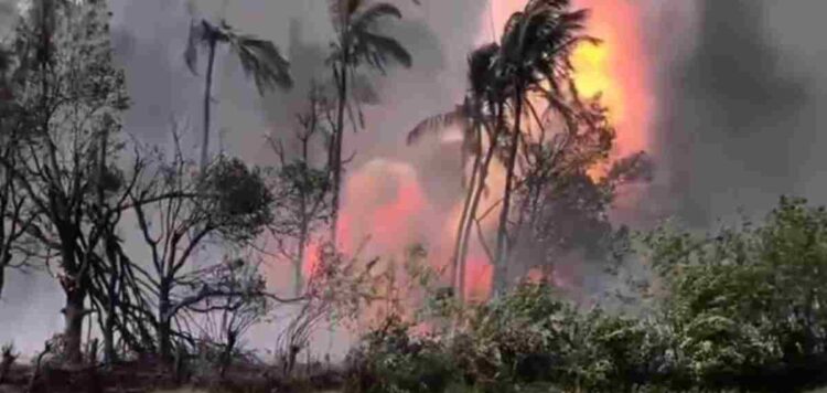 വെടിക്കെട്ടപകടം: ഫോറൻസിക് പരിശോധന നടത്തും; ഭൗതികാവശിഷ്ടങ്ങൾ തിരിച്ചറിയൽ വെല്ലുവിളിയെന്ന് മന്ത്രി