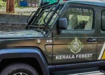 ചൂട് കൂടി; മാളം വിട്ടിറങ്ങി പാമ്പുകള്‍, ജാഗ്രതാ നിര്‍ദ്ദേശവുമായി വനംവകുപ്പ്
