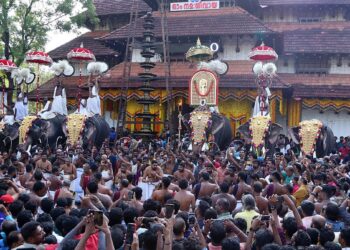 തൃശൂര് പൂരത്തിന് വെടിക്കെട്ടില്ല; 15 ആനപ്പുറത്ത് എഴുന്നള്ളിപ്പ്, കുടമാറ്റം പേരിന് മാത്രം, പൊലിമ കുറച്ച് ആഘോഷം