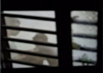 അഞ്ച് വയസുകാരന് രണ്ടാനച്ഛന്റെ ക്രൂര മര്‍ദനം; അറസ്റ്റ്