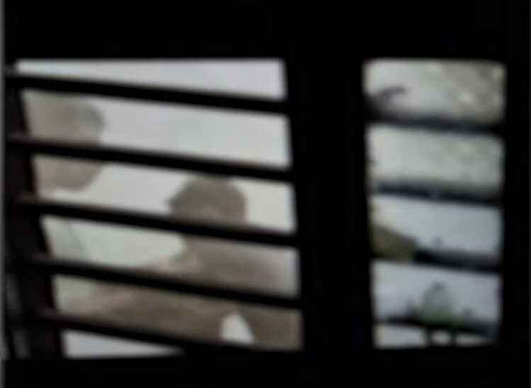 അഞ്ച് വയസുകാരന് രണ്ടാനച്ഛന്റെ ക്രൂര മര്‍ദനം; അറസ്റ്റ്