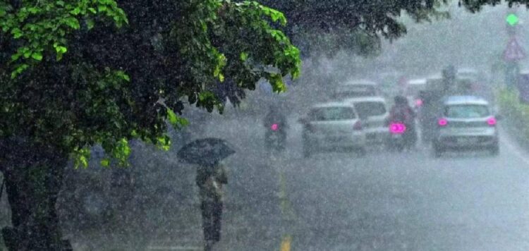 ബുധനാഴ്ചവരെ ശക്തമായ മഴയ്ക്ക് സാധ്യത; നാളെ ഏഴ് ജില്ലകളില്‍ യെല്ലോ അലേര്‍ട്ട്