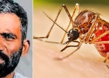 സംസ്ഥാനത്ത് ഡെങ്കിപ്പനി ബാധിച്ച് ഒരാള്‍ കൂടി മരിച്ചു; ഒരാഴ്ചയ്ക്കിടെ മൂന്നാമത്തെ മരണം