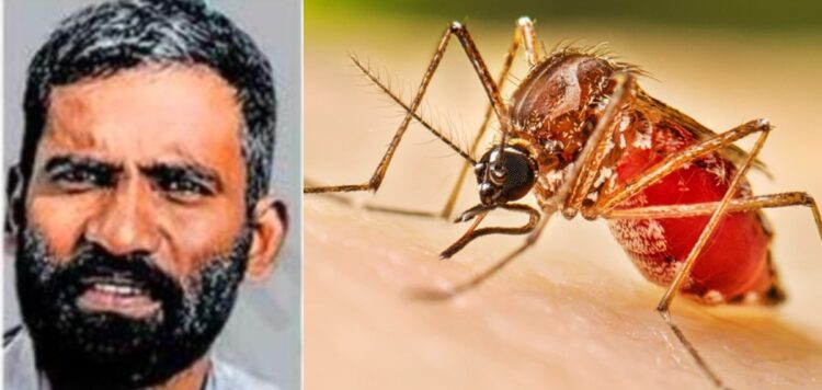 സംസ്ഥാനത്ത് ഡെങ്കിപ്പനി ബാധിച്ച് ഒരാള്‍ കൂടി മരിച്ചു; ഒരാഴ്ചയ്ക്കിടെ മൂന്നാമത്തെ മരണം