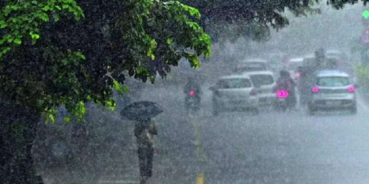 സംസ്ഥാനത്ത് ഇന്നും മഴ കനക്കും, ഏഴ് ജില്ലകളില്‍ ഓറഞ്ച് അലേര്‍ട്ട്
