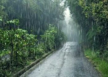 സംസ്ഥാനത്ത് കാലവർഷം ദുർബലമാകുന്നു; ഇന്ന് ഒറ്റപ്പെട്ടയിടങ്ങളിൽ മഴ,