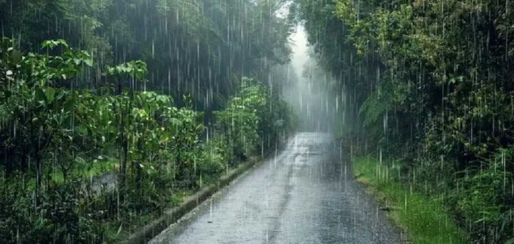 സംസ്ഥാനത്ത് കാലവർഷം ദുർബലമാകുന്നു; ഇന്ന് ഒറ്റപ്പെട്ടയിടങ്ങളിൽ മഴ,