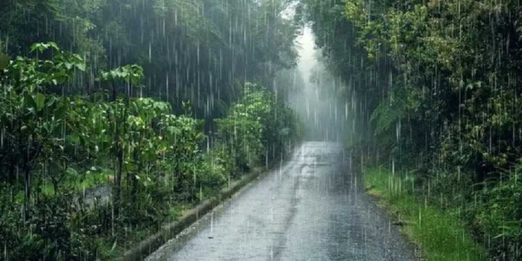 സംസ്ഥാനത്ത് കാലവർഷം ദുർബലമാകുന്നു; ഇന്ന് ഒറ്റപ്പെട്ടയിടങ്ങളിൽ മഴ,